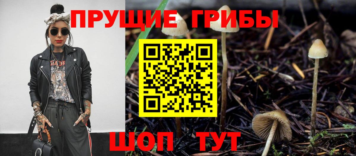 Каспийск  Псилоцибиновые грибы Magic Shrooms  Вход с VPN 