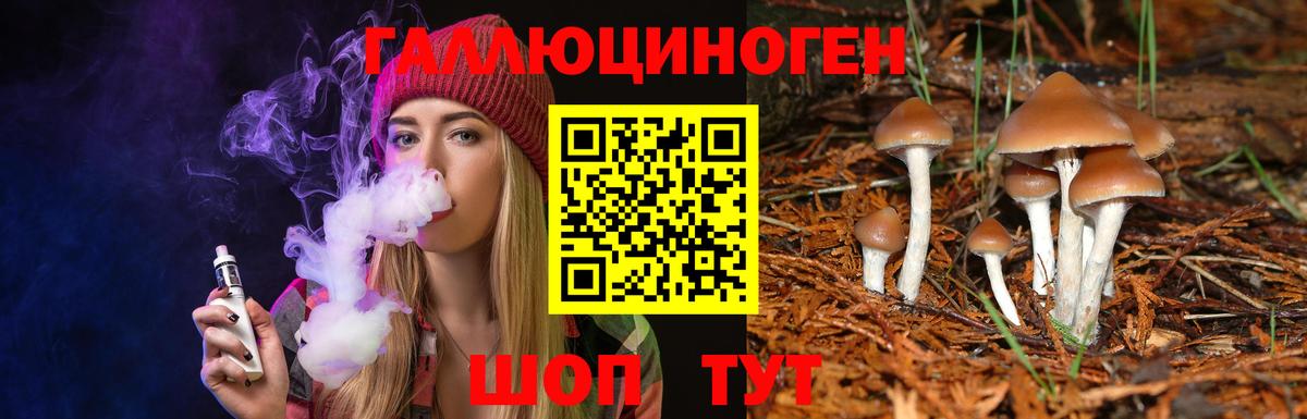 Галлюциногенные грибы прущие грибы Каспийск